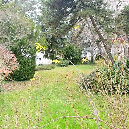 Banaba Lägenhet Wiesbaden Exteriör bild